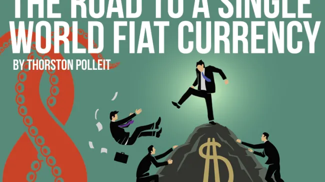 The Road to a Single Fiat World Currency article